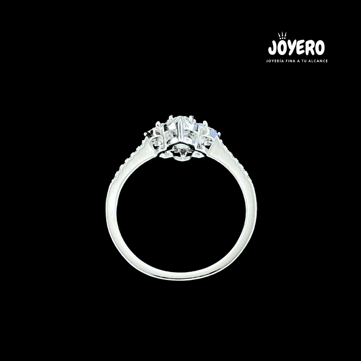 Anillo Flor de Luz
