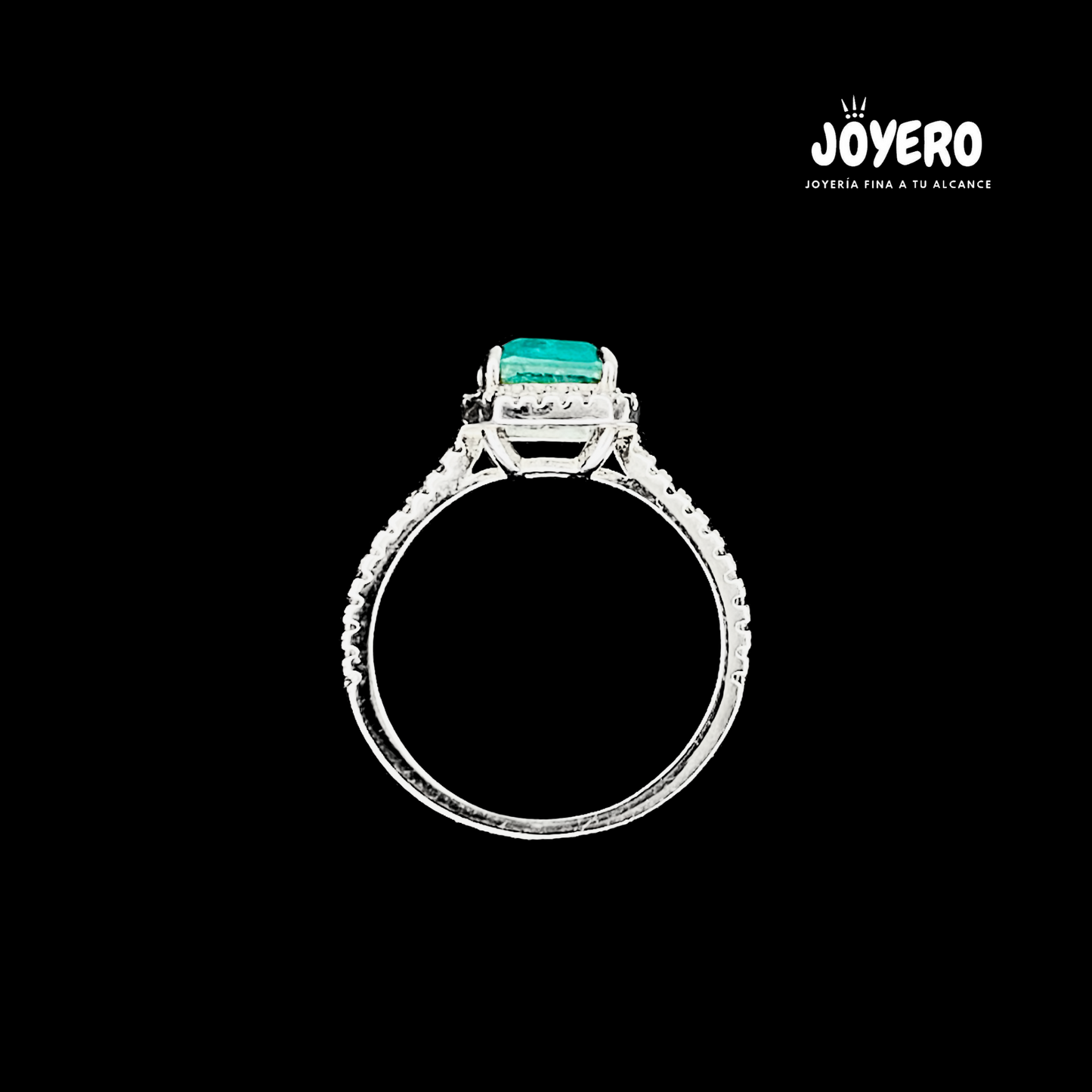 Anillo Encantos del Paraíso