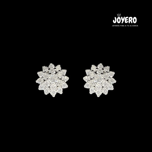 Aretes Flor de Luz